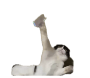 839206726