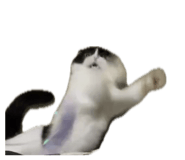 839206727