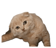 839206728