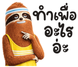 สลอธ ผอม รูปที่ 2