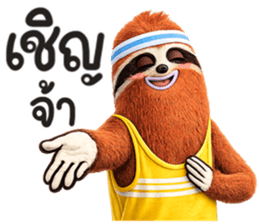 สลอธ ผอม รูปที่ 11