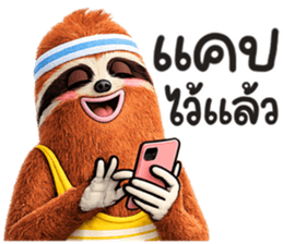 สลอธ ผอม รูปที่ 12
