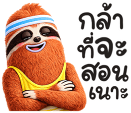 สลอธ ผอม รูปที่ 17