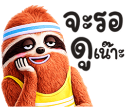 สลอธ ผอม รูปที่ 27