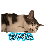 839211029