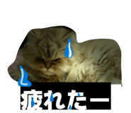 839211335
