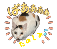 839213077