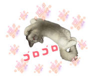 839213081