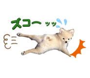 839213088