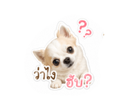 839218323