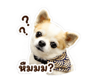 839218638