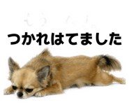 839219910