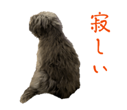839219929