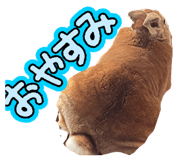 839219963