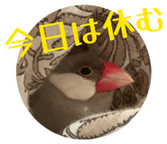 839233386