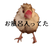 839233389