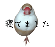 839233390