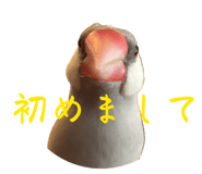 839233392