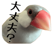 839233393