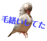 839233396