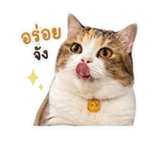 839233920