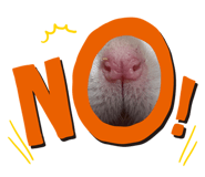 839234054