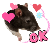 839234064