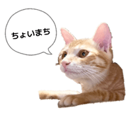 839234086