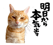 839234088