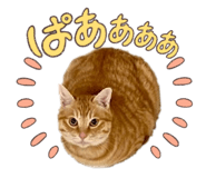 839234095
