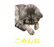 839234101