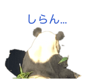 839235156