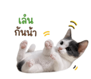 839235182