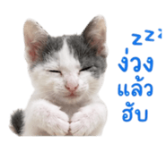 839235187