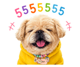 839235629