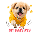 839235647