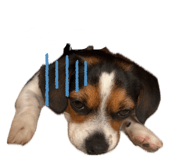 839235846