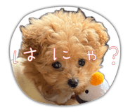 839236562