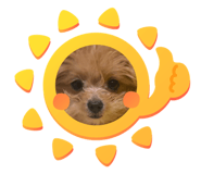 839236582