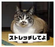 839239172