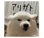 839239660