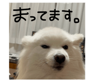 839239670