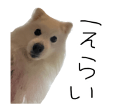 839239673