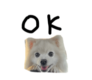 839239676