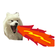 839239681