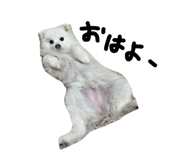 839239689