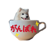 839239690