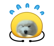 839239691