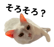 839239991