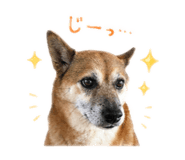 839240364